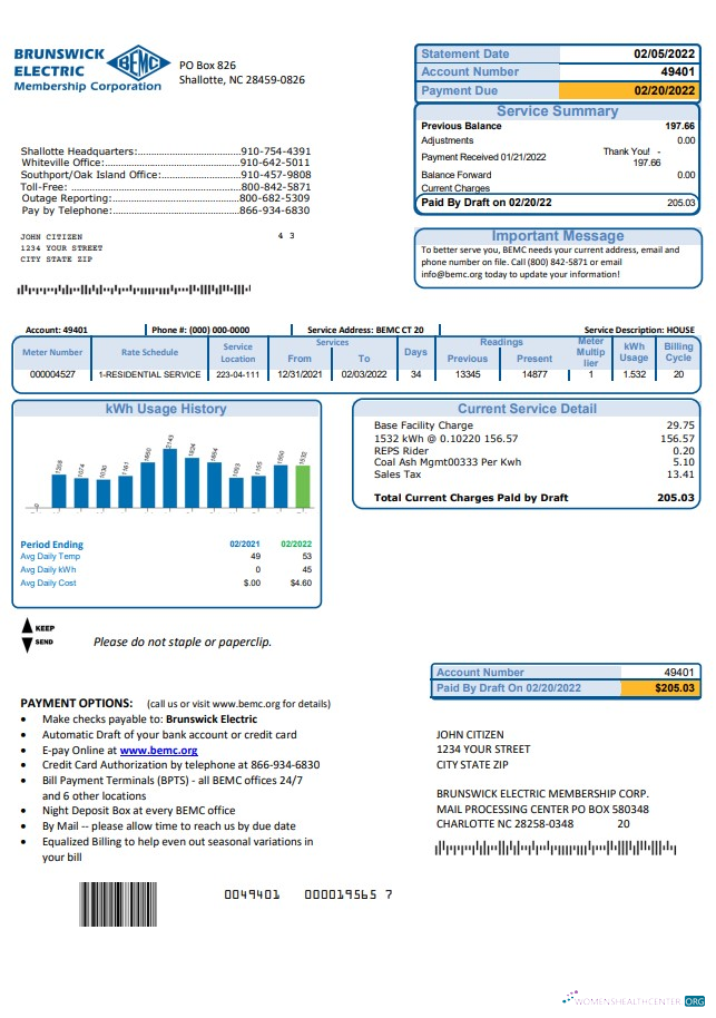 download USA North Carolina Brunswick Electric utility bill template in Word and PDF format PDF template